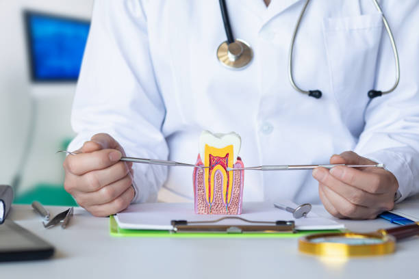 Best Emergency Denture Repair in Joanna, SC